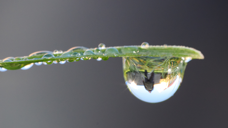 | max mutzke & matti klein soul trio   |